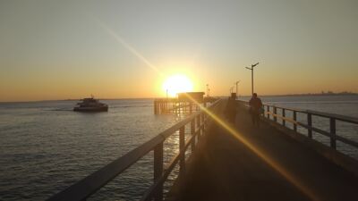 IMG_20250815_071340.jpg Thumbnail