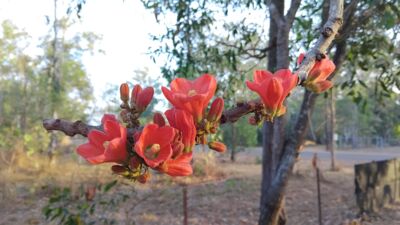 IMG_20250706_075121.jpg Thumbnail